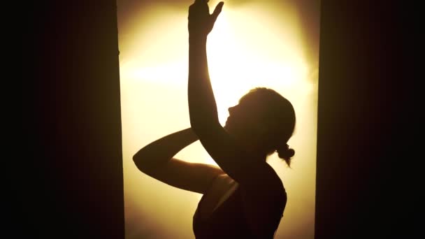 Сутність Танцю Через Тонку Взаємодію Світла Тіні Коли Танцівниця Рухається — стокове відео