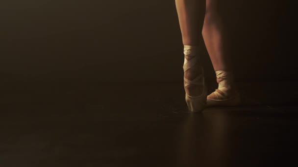 Jovens Bailarinas Fluidez Precisão Estão Exibição Como Ela Executa Ponta — Vídeo de Stock