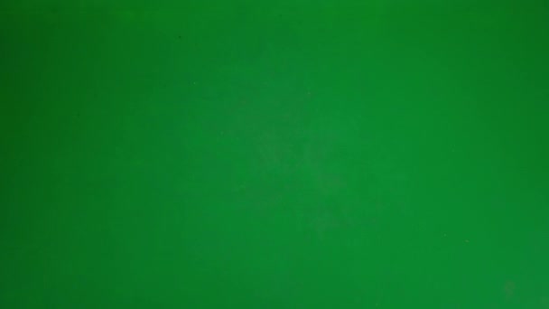 Modernt Affärskvinna Kreativ Annons Koncept Porträtt Hona Kostym Kromnyckel Grön — Stockvideo