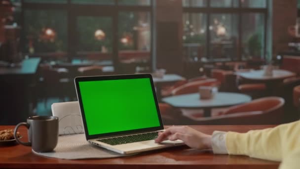 Yeşil Ekranlı Bir Dizüstü Bilgisayarda Çalışan Bir Kadın Büyük Pencereli — Stok video