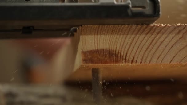 Carpentry Handicraft Advertisement Concept Male Woodworker Working Garage Man Professional — Stock Video