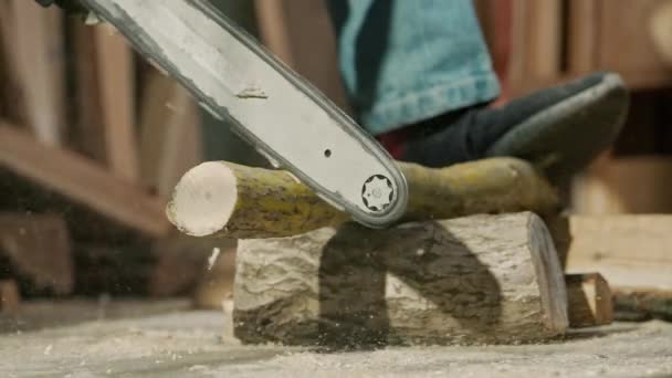 수공예 차고에서 Woodworker 사슬을 사용하여 작업장 나무에 나무로 물자를 사용하는 로열티 프리 스톡 비디오