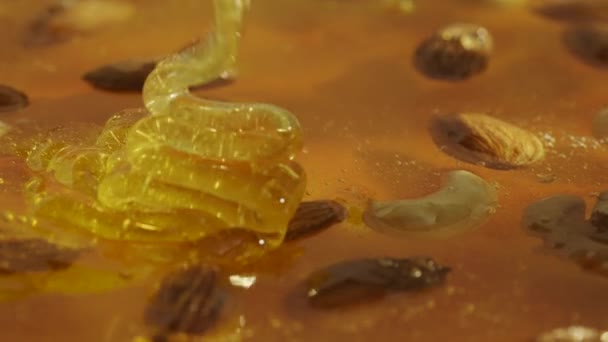 Koncept För Livsmedelsreklam Friska Ekologiska Honung Söt Färsk Gyllene Honung — Stockvideo