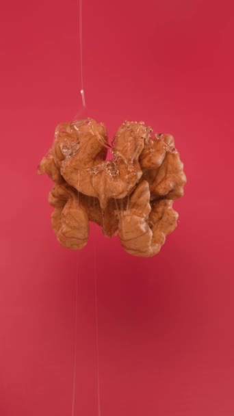 一粒薄薄的琥珀色蜂蜜滴在红色的背景上涂在核桃上 用甜而厚的蜂蜜浇灌的核桃的特写镜头 健康美味食物的概念 垂直录像 — 图库视频影像