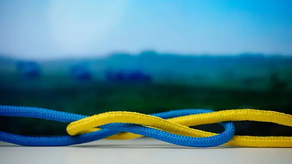 Las Cuerdas Color Amarillo Azul Retorcieron Ataron Creando Nudo Contra — Foto de Stock