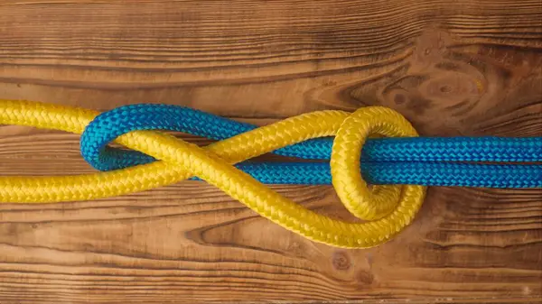 海事或安全运动结绑扎过程 黄色和蓝色的绳子扭曲并绑在一起 形成结 隔离在木制背景上 近距离拍摄 两根绳子绑在一起 上视图 — 图库照片