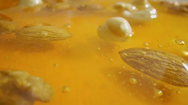 Sund Økologisk Honning Med Nødder Sød Frisk Gylden Honning Med Stock-billede