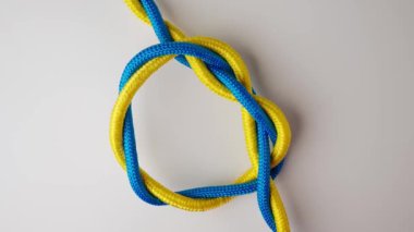 Denizci ya da güvenlik düğümleri bağlama işlemi. Sarı ve mavi renkli ipler kıvrılmış ve bağlanmış düğüm oluşturmuş, beyaz arka planda izole edilmiş, yakın çekim. Düğüme bağlanmış iki ip, üst manzara..