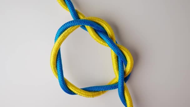 海事或安全运动结绑扎过程 黄色和蓝色的绳子扭曲并绑在一起 形成结 隔离在白色背景上 近距离拍摄 两根绳子绑在一起 上视图 — 图库视频影像