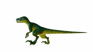 3D rendering features a Velociraptor, depicted in a predatory stance with a vivid green and yellow gradient skin. Dinosaurs sharp teeth and agile build, against a white background. clipart