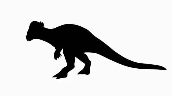 Sylwetka Pachycefalozaura Znanego Czaszki Kształcie Kopuły Prosta Czarna Sylwetka Białym Obrazek Stockowy