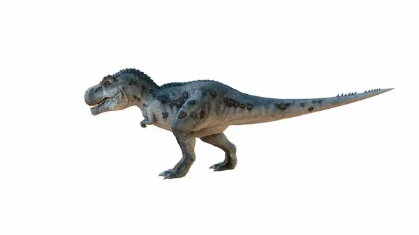3D渲染展示了一种食肉恐龙 具有突出的鳞片 锋利的牙齿和长长的尾巴 这幅图使生物在白色的背景上隔离开来 图库图片
