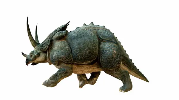 三叶草的3D图片说明 展示了它的三个独特的角和一个巨大的褶皱 这种恐龙具有细腻的质感 突出其粗壮 鳞片状的皮肤 背景为白色 免版税图库图片