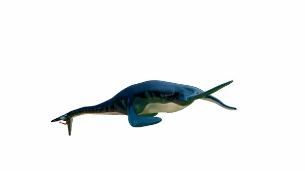 三维渲染鱼龙 一种海洋爬行动物 在游泳姿势 它流线型的身躯和细长的鼻梁与充满活力的蓝色和绿色搭配在一起 衬托着白色的背景 免版税图库图片