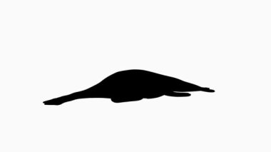 Ichthyosaur 'un silueti, bir deniz sürüngeni, uzun burnu ve aerodinamik vücuduyla karakterize edilir. Beyaz arkaplandaki basit siyah siluet. Maske. Alfa Kanalı.
