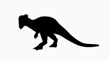 Bir Pachycephalosaurus 'un silueti, kubbe şeklindeki kafatası ile ünlüdür. Beyaz arkaplandaki basit siyah siluet net ve odaklanmış bir tasvir sunuyor. Maske. Alfa Kanalı.