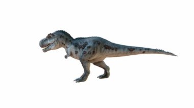 Bu detaylı 3D görüntülerde belirgin pulları, keskin dişleri ve uzun kuyruğu olan etobur bir dinozor görülüyor. Çizim, yaratığı beyaz bir arkaplanda izole ediyor. Alfa kanalı.