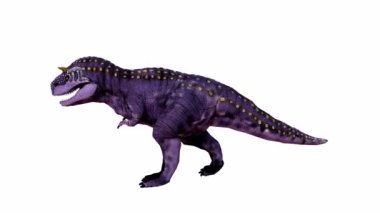 Üç boyutlu Tyrannosaurid dinozoru dinamik bir pozda, belirgin sarı benekleri olan canlı mor renge boyuyor. Ayrıntılı doku izole edilmiş beyaz arkaplan ile vurgulanır. Alfa kanalı.