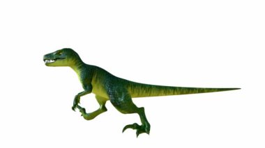 Üç boyutlu Velociraptor, canlı yeşil ve sarı gradyan derili yırtıcı bir duruşla tasvir ediliyor. İzole edilmiş beyaz arka planda keskin dişleri olan bir dinozor. Alfa kanalı.