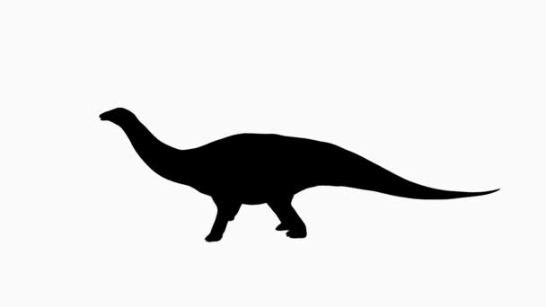 Silhouette Noire Dinosaure Sauropode Caractérisée Par Son Long Cou Longue — Video