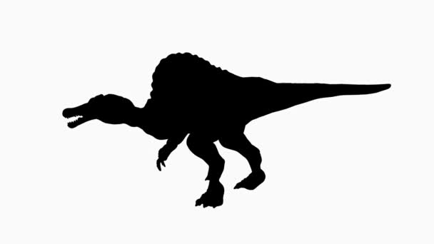 Silueta Neagră Spinosaurus Cunoscută Pentru Navigația Distinctivă Botul Alungit Dinozaurul — Videoclip de stoc