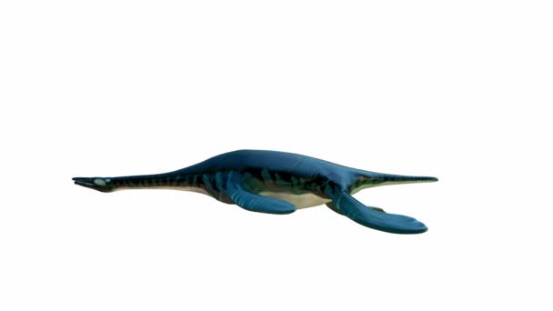Renderowanie Ichthyosaur Gad Morski Pozycji Pływania Uproszczony Korpus Wydłużony Pysk — Wideo stockowe