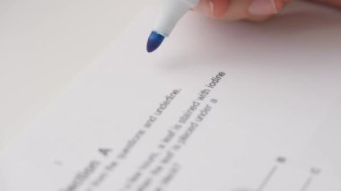 Bayan öğretmen ödevler için not veriyor. Profesyonel okul ya da üniversite öğretmeni öğrencilerin ödev sınav kağıtlarını not eder. Kadın notları B ve eksi ile test ediliyor, mavi kalemle çevreleniyor..