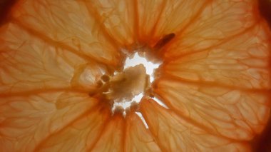 Meyve rengi desenli arka plan. Çatı penceresine yapıştırılmış taze, sulu portakal dilimlerinin makro çekimi, ışık altında görülebilen sulu narenciye dokusuna sahip et ve tohumları gösteriyor..