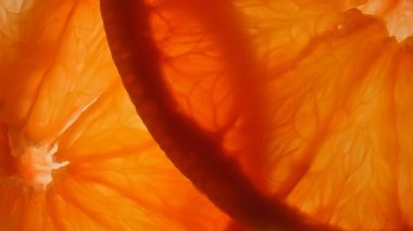 Meyve rengi desenli arka plan. Çatı penceresine yapıştırılmış taze, sulu portakal dilimlerinin makro çekimi, ışık altında görülebilen sulu narenciye dokusuna sahip et ve tohumları gösteriyor..