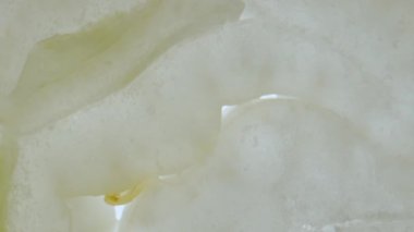 Sebze rengi desenli arka plan. Çatı penceresine doğru hareket eden taze, sulu beyaz soğan dilimlerinin makro çekimi, ışık altında görülebilen sulak yapılı et ve daireleri gösteriyor..