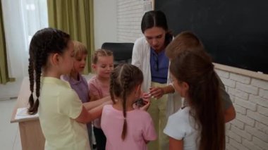 Bir grup ilkokul öğrencisi. Sınıftaki ortaokul öğrencileri, kadın öğretmen ve çocuklar hayvanat bahçesinin köşesindeki hamsterlara, öğretmenlere ve hamsterla oynayan çocuklara önem veriyor. İlkokul.