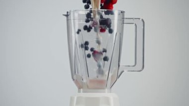 Şeffaf blender şişesine süt, ahududu, böğürtlen, yabanmersini ve kuşüzümü dereleri dökülüyor. Taze böğürtlen ve süt, ferahlatıcı ve sağlıklı bir smoothie yapmak için. Sağlıklı Yaşam Tarzı
