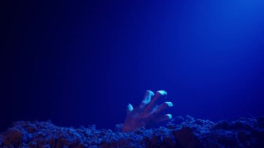 Korkunç canavar el, mezarlıkta jestler gösteriyor. Korkunç pis cadılar bayramı zombi eli mezardan kalkıyor, sürünerek hareket ediyor, mavi arka planda izole edilmiş. Gizemli Cadılar Bayramı konsepti.