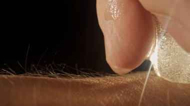 Makro deri ve saç dokusu. Derinin üzerinden bir buz küpü geçer ve arkasında ıslak bir iz bırakır. Yumuşak ışığı olan karanlık bir stüdyo cilt dokusunu ve bireysel kılları ön plana çıkarır..