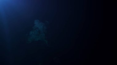 Mavi ışık huzmeleri sisli karanlığı aydınlatır. Spot ışığından gelen ışık karanlık bir alanda duman bulutlarını aydınlatır. Sinematik ışık.