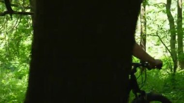 Güneşli bir yaz gününde, yeşil bir ormanda bisiklet süren bir adam. Doğada bisikletle seyahat eden bir sporcu. Bisiklet sürmek, sağlıklı yaşam tarzı..