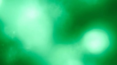 Renkli ışık sızıntısı. Bulanık yeşil lens, hareket stüdyosu yıldırımı koyu arkaplanda bokeh etkisi olan çelenk. Işık sızıntıları, soyut arkaplan görüntüleri.