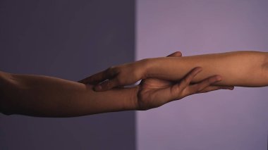 El hareketleri ve işaretleri. Erkek ve kadın el ele tutuşuyor, mor stüdyo arka planında izole edilmiş, yakın çekim. Sevgililer Günü soyut reklam kavramı.
