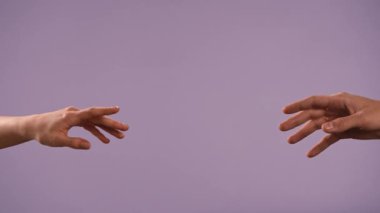 El hareketleri ve işaretleri. Erkek ve kadın elleri el hareketlerini gösteriyor ve parmaklarını çapraz yapıyor, mor stüdyo arka planında izole edilmiş, yakın çekim. Sevgililer Günü reklam konsepti.