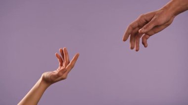 El hareketleri ve işaretleri. Erkek ve kadın elleri el hareketlerini gösteriyor ve parmaklarını çapraz yapıyor, mor stüdyo arka planında izole edilmiş, yakın çekim. Sevgililer Günü reklam konsepti.