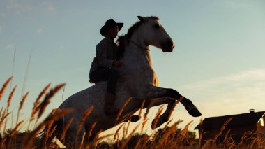 Gün batımında at eğiten kovboy kostümlü bir adamın silueti. Yetişkin erkek, eyer üstündeyken atlara binme emri veriyor..