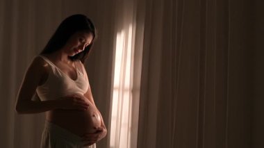 Asyalı genç hamile kadın elleriyle karnını okşuyor. Müstakbel anne stüdyoda akşam ışığında perdelere karşı poz veriyor. Annelik kavramı.