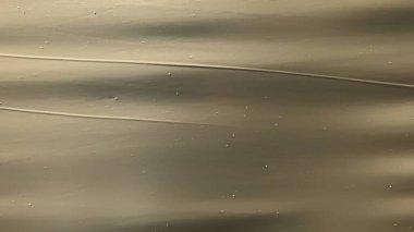 Geri dönüşüm üretimi, sanayi ambalajı. Biyolojik ambalaj fabrikası üretim makinesi, plastik bant rulosu, polietilen çanta dokusunun kapatılması..