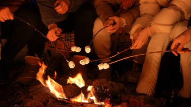 Sıcak giysiler içinde bir grup genç arkadaş gece vakti bir kış ormanında kamp ateşinde marşmelov kızartıyorlar. Sıcaklığın ve arkadaşlığın tadını çıkarıyorlar..