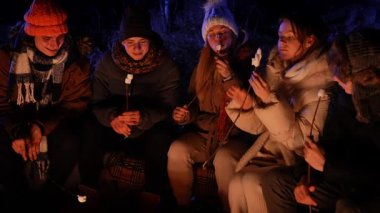 Sıcak giysiler içinde bir grup genç arkadaş gece vakti bir kış ormanında kamp ateşinde marşmelov kızartıyorlar. Sıcaklığın ve arkadaşlığın tadını çıkarıyorlar..