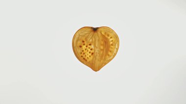 Açık arkaplana karşı detaylı bir sarı domates, dokusunun dokusunu ve doğal güzelliğini vurguluyor. Kapat..