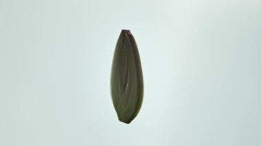 Minimalist bir ışık arka planına karşı tek bir ayçekirdeğinin detaylı yakın plan fotoğrafı..