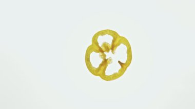 Beyaz arka planda tek bir dilim sarı dolma biberin doğal dokusunu ve canlı rengini vurgulayan detaylı bir görüntüsü..