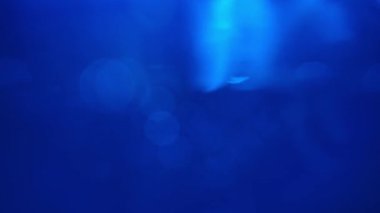 Mavi sisli yüzen parçacıkların olduğu derin sualtı sahnesi sakin ve gizemli bir atmosfer yaratıyor. Ağır çekim. Suya düşen bir ışık demeti yüzen parçacıkları vurgular. Yavaş