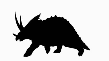 Bir Triceratops 'un siyah silueti, üç ayırt edici boynuzu ve büyük fırfırlarını sergiliyor. Dinozor beyaz bir arka plana karşı. Minimalist tasarım kullanımı ve eğitici kullanım için bu grafik ideal